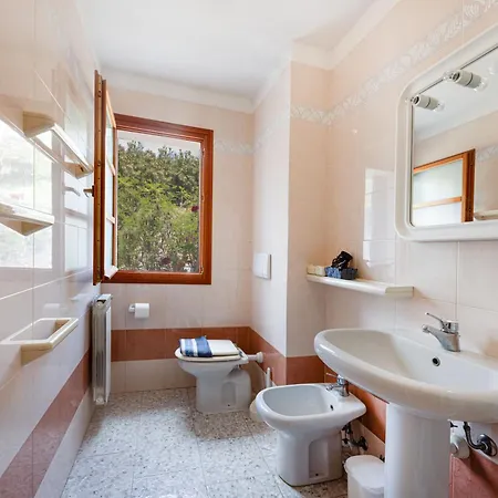 Capo Ai Pini - Bilo Elisa *